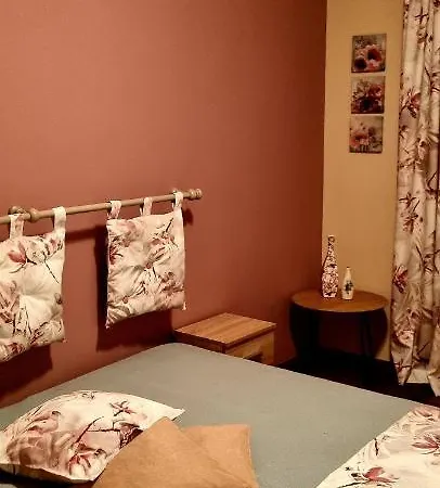 Вила Петрович * Hisarya