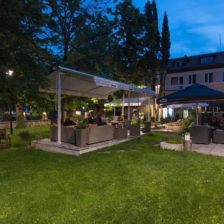 Вила Петрович *