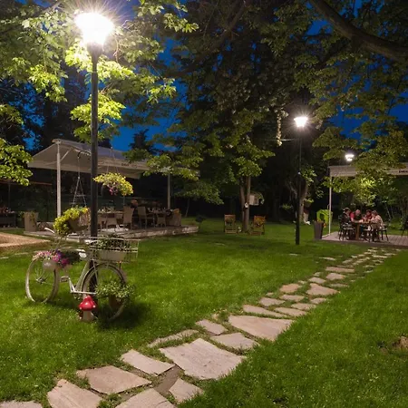 Вила Петрович Hisarya