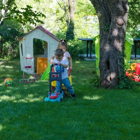 Вила Петрович