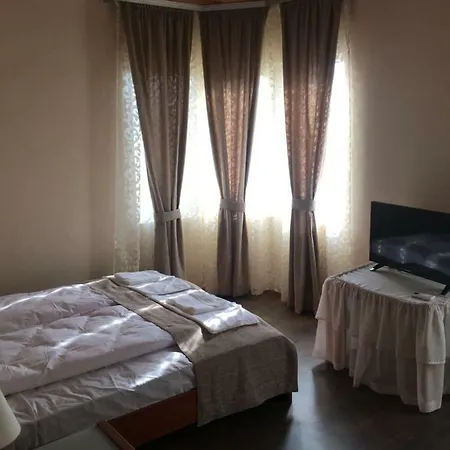 Вила Петрович Hisarya