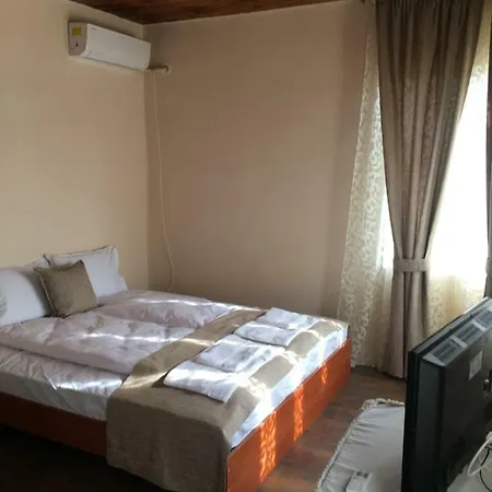 Вила Петрович *