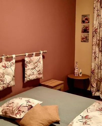 Вила Петрович * Hisarya