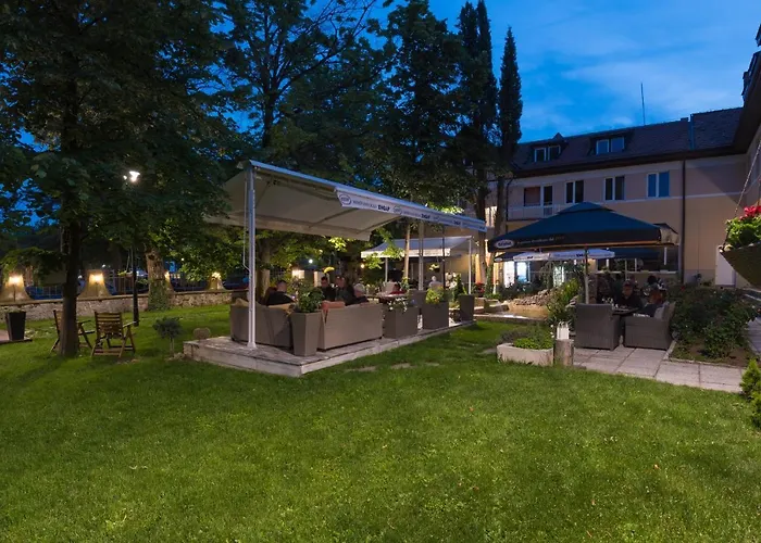 Вила Петрович *