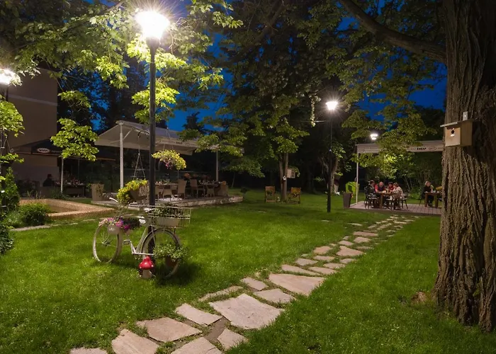 Вила Петрович Hisarya