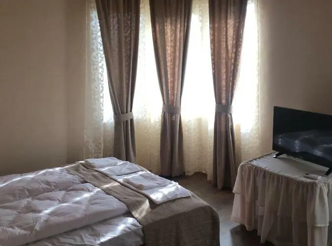 Вила Петрович Hisarya